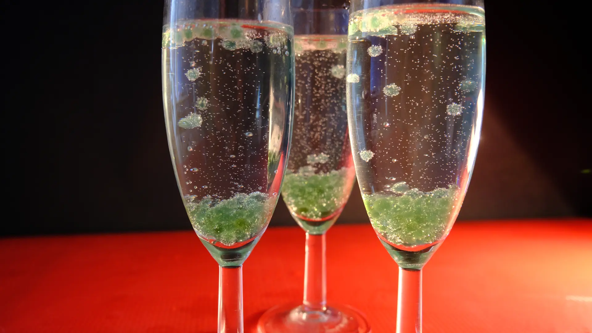 Des algues dans tous leurs états