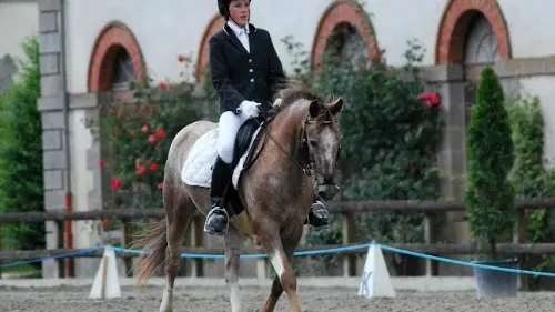 6 Poney club du moulin 500px