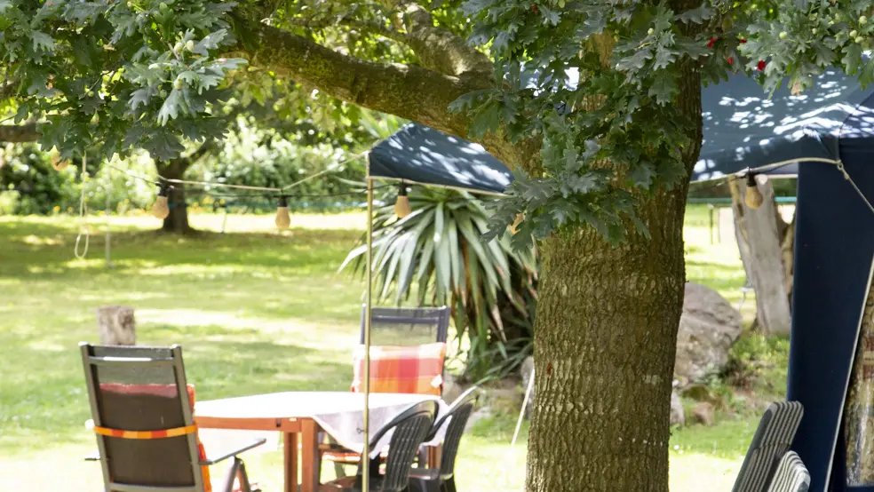 camping