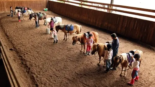 1 Poney club du moulin 500px