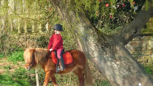 10 Poney club du moulin 500px