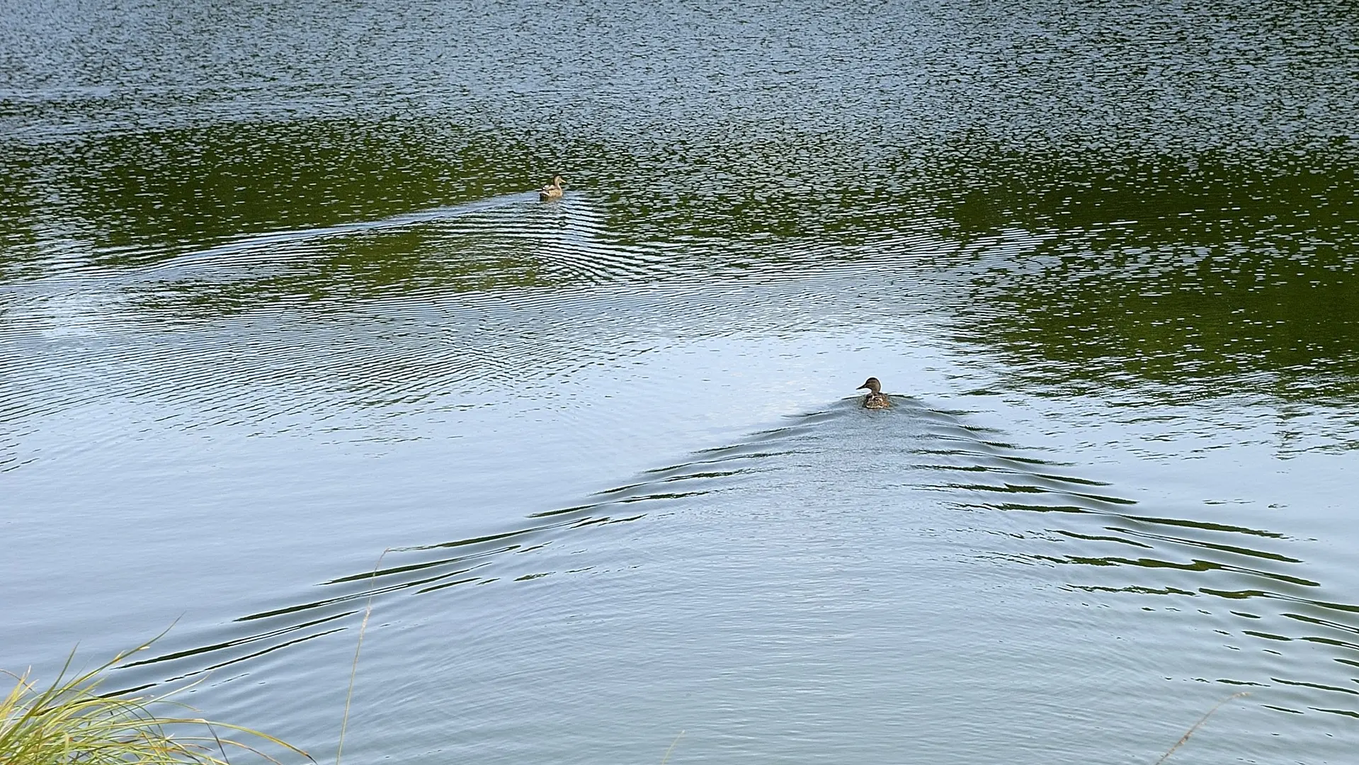 Etang de Milin Saezh