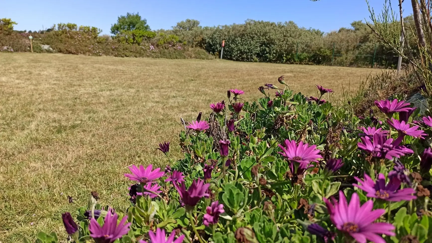 196852950_112918291002169_4650420937374809524_n