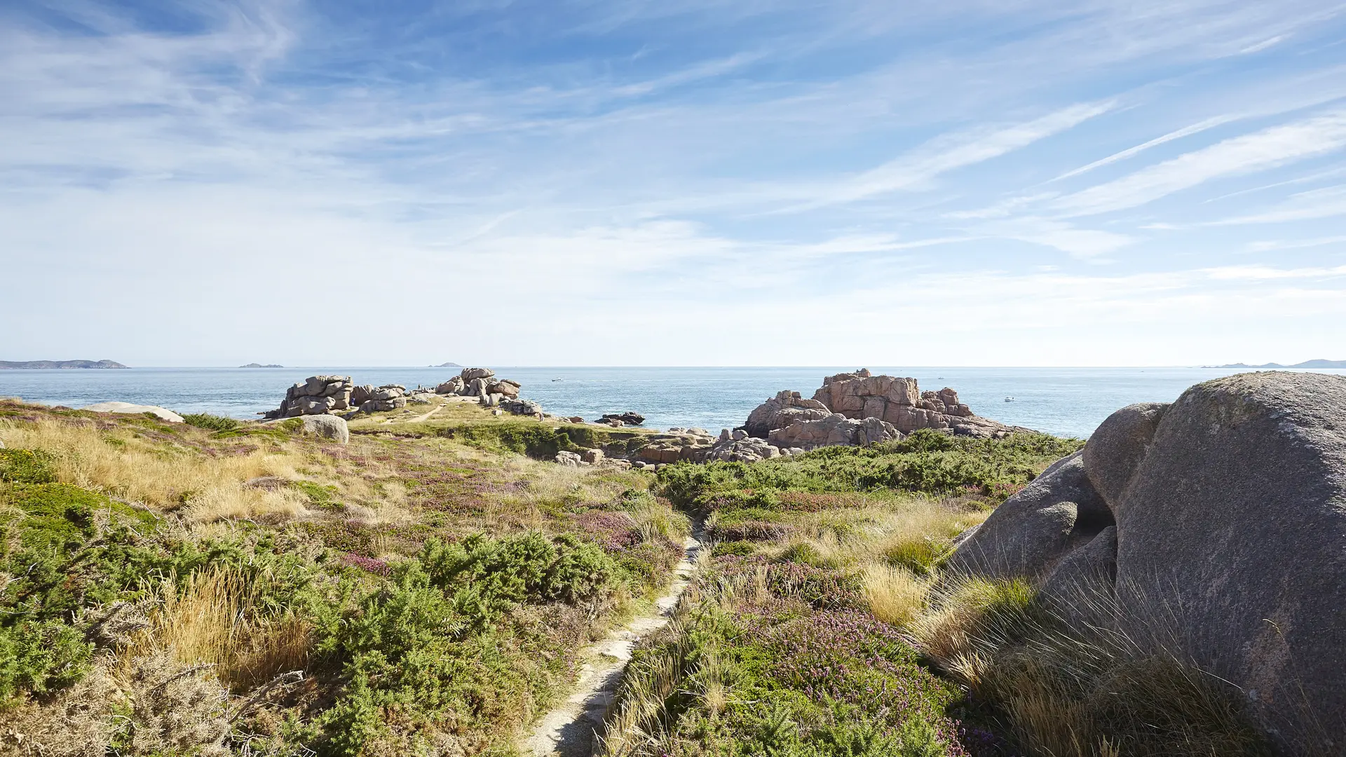 2015 - @Alexandre Lamoureux - Haute Déf (15)