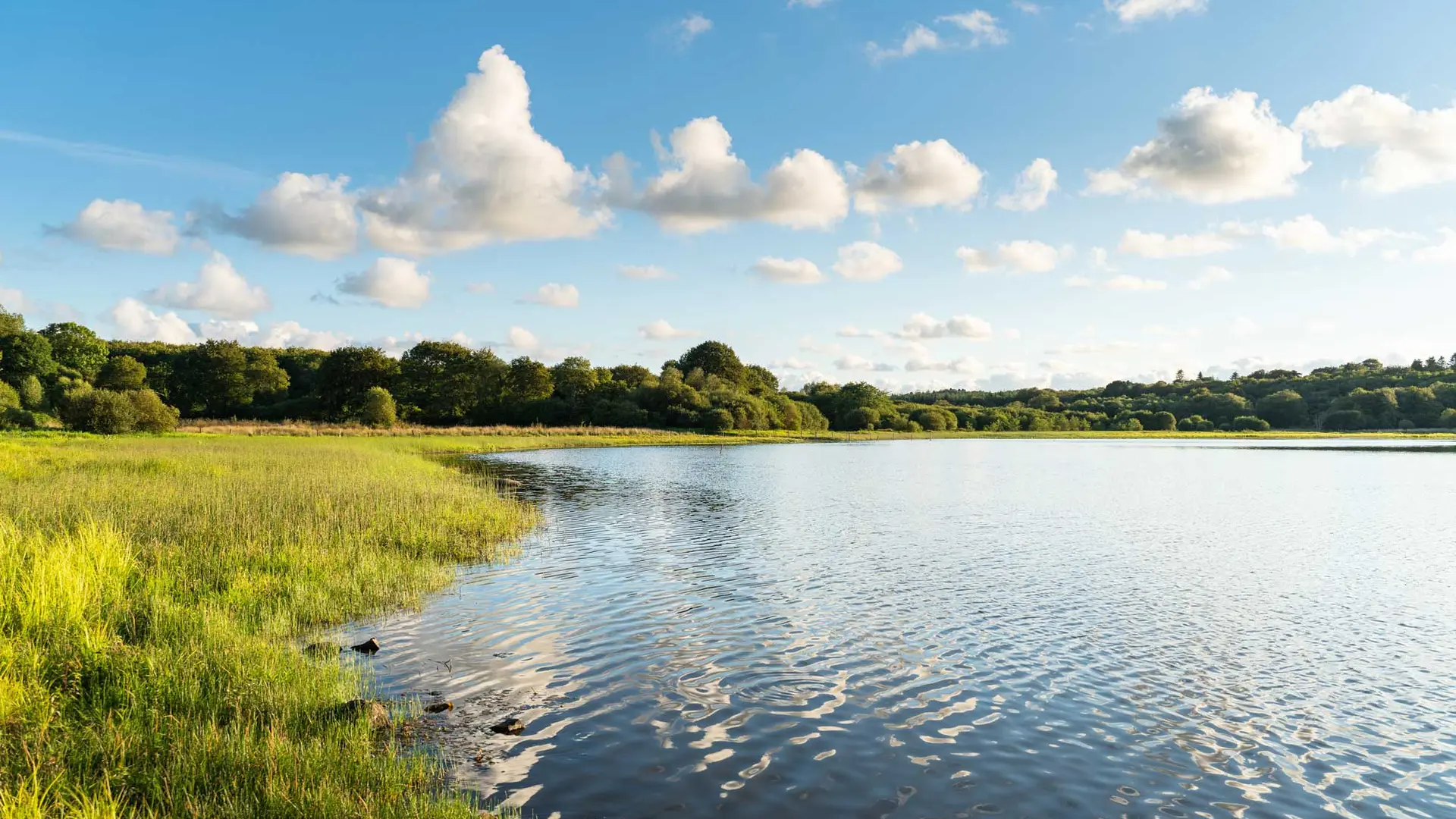 L'Etang du Moulin Neuf