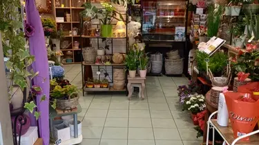 20210512_172505 (Copier)