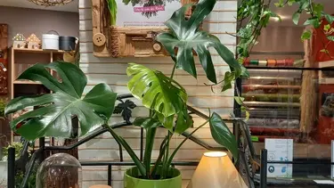 20210516_091325 (Copier)