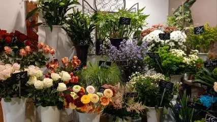 20210516_140540 (Copier)