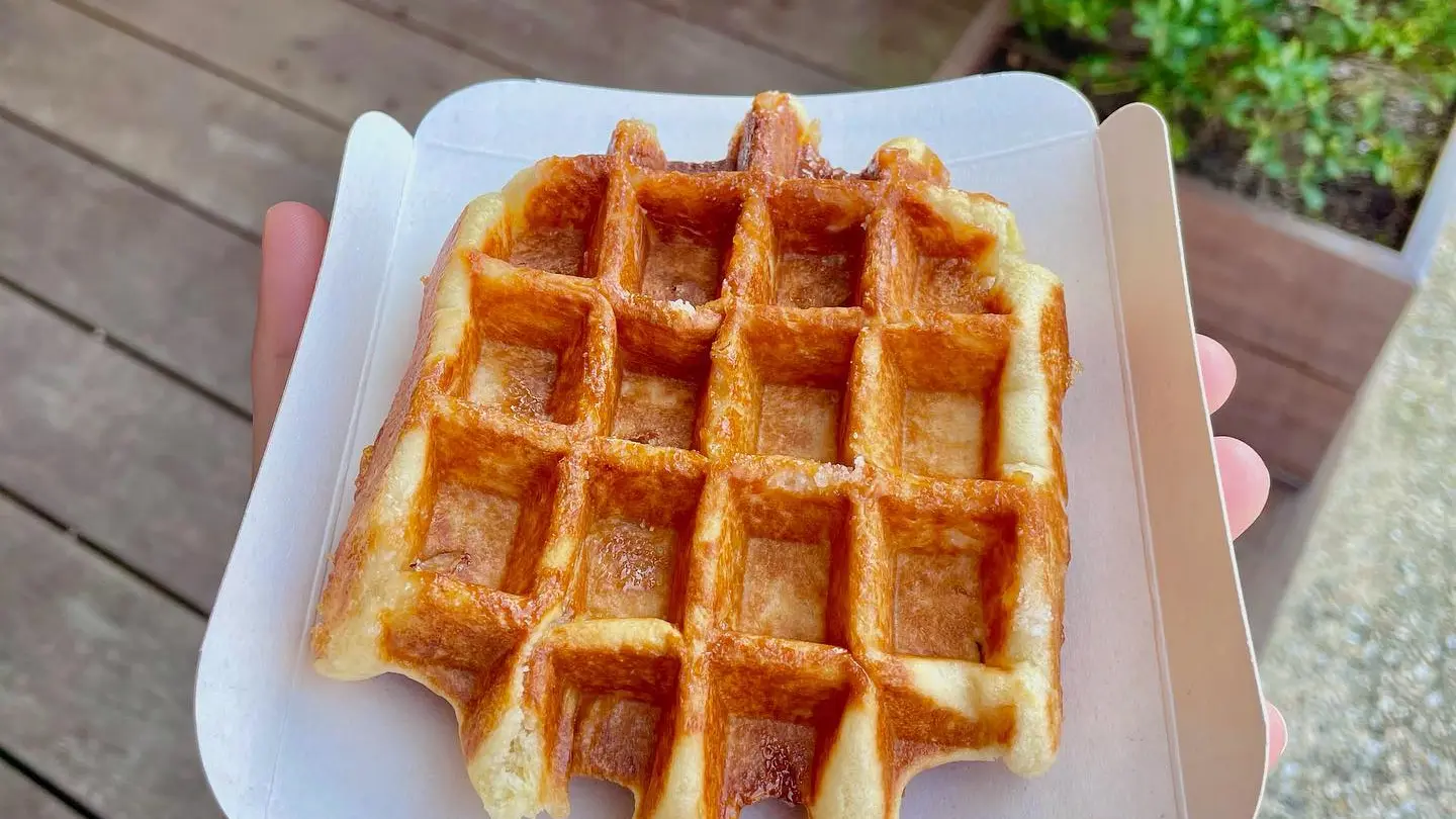 247397641_296190242332221_6700122525413658060_n