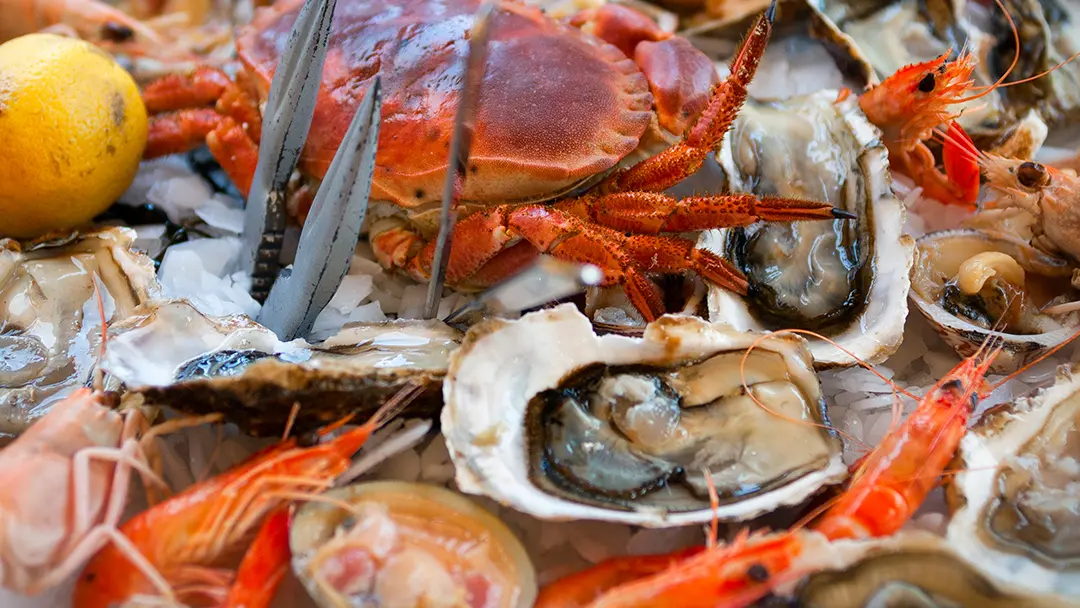 364051656_303365692206494_5098627947727762246_n