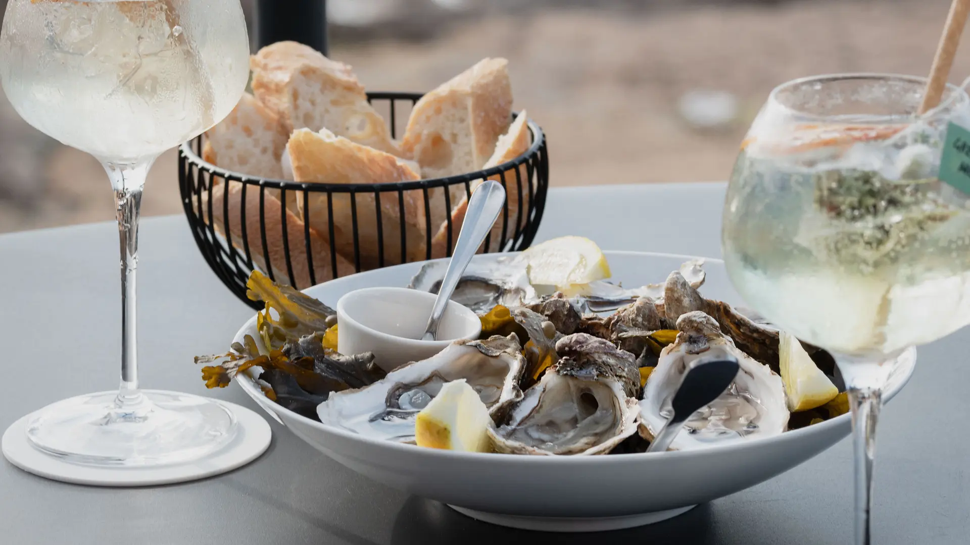 396998291_299548156231126_1244113930648250540_n