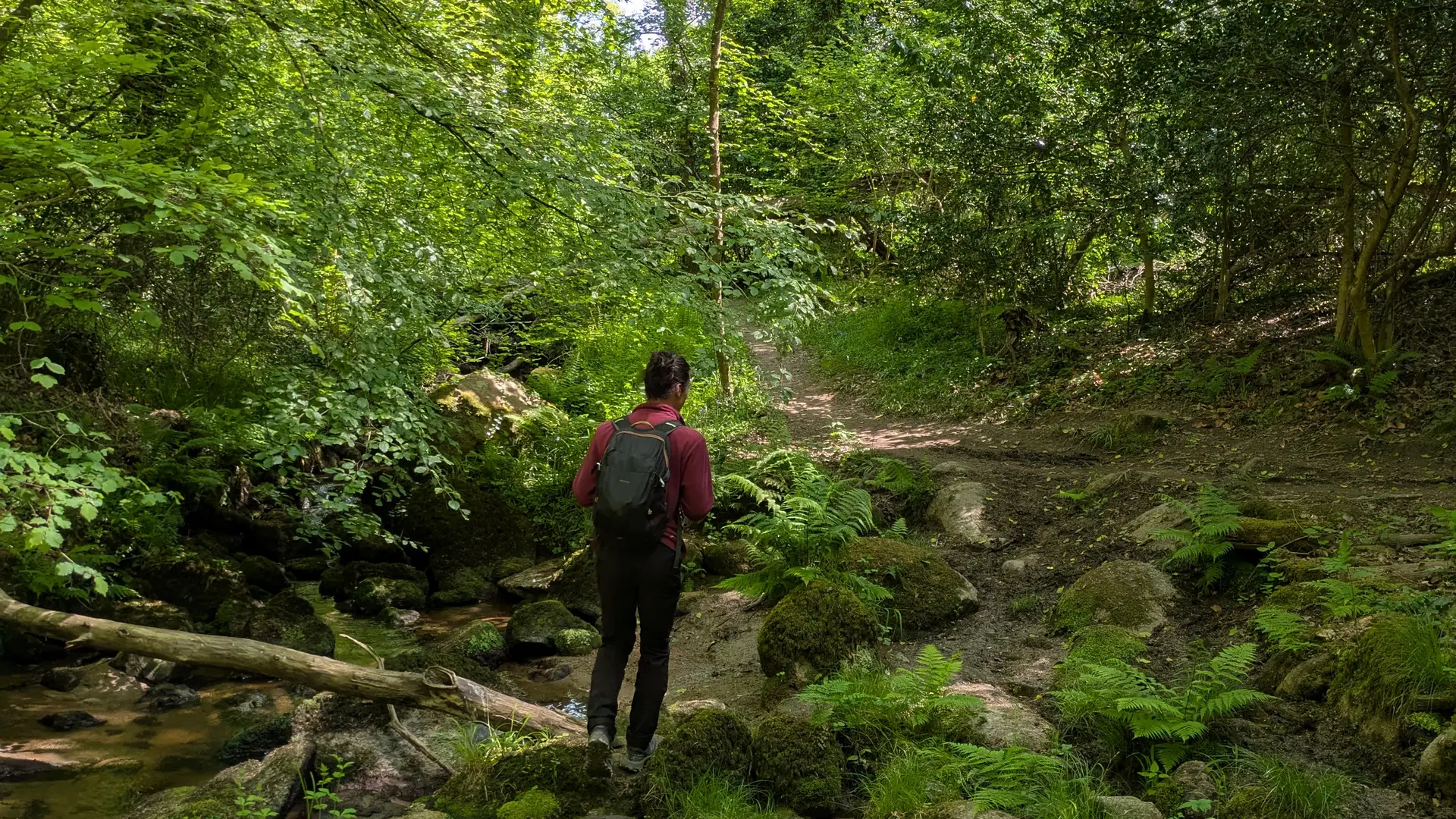 vallée de pont roux