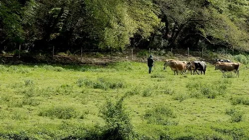 vallée papeteries Plounévez-Moëdec
