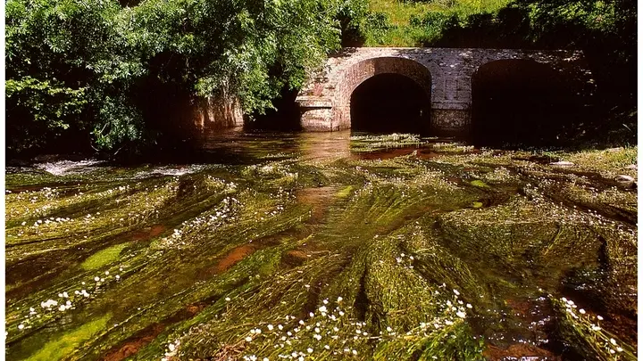 viaduc Trégrom  ondine Christian Le Gac