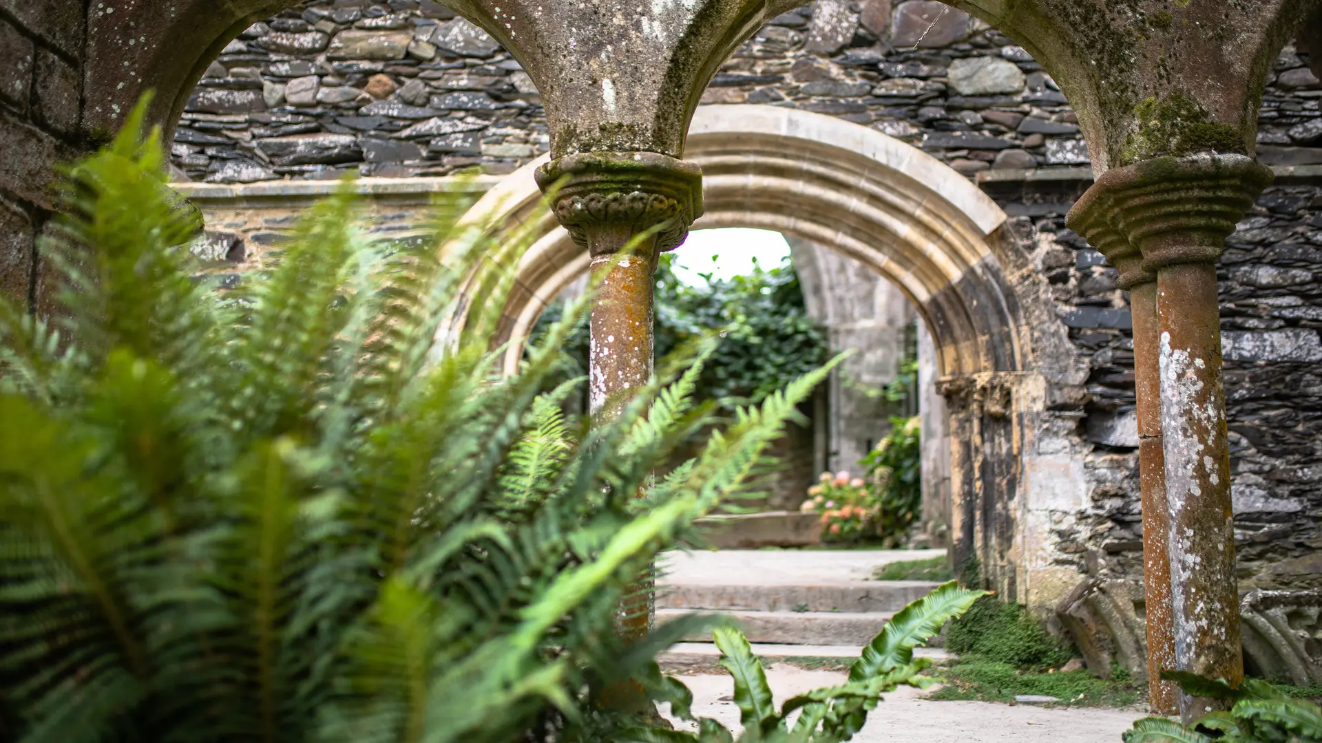 Cloître de Beauport (Paimpol-Côtes d'Armor)