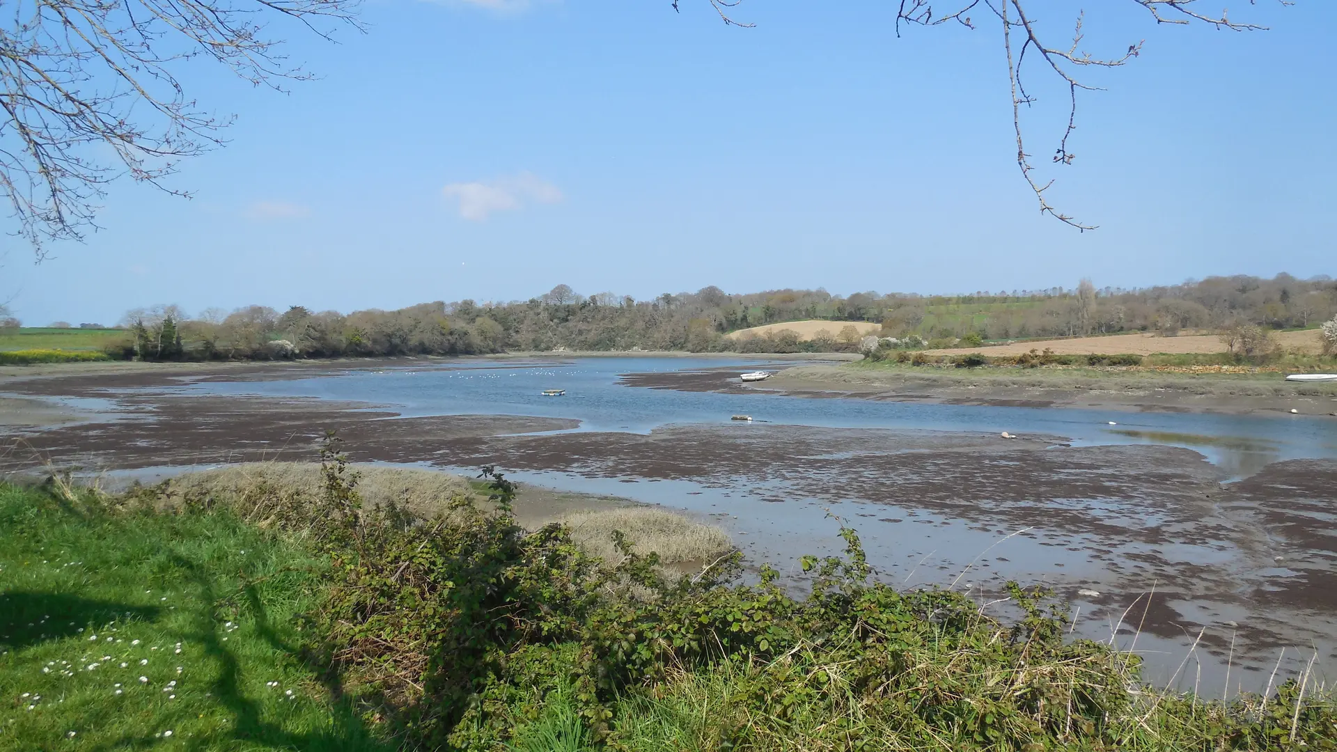 vue sur l'estuaire du Bizien