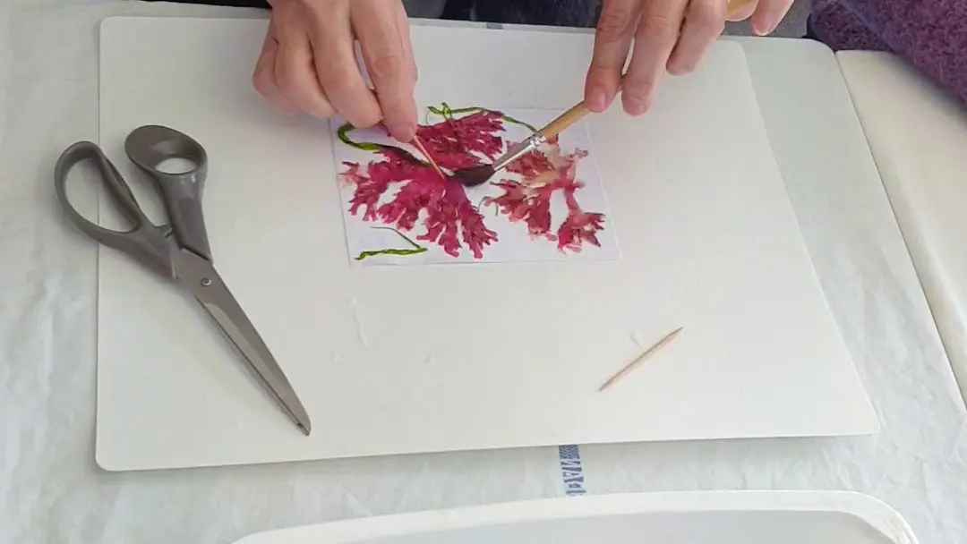 Algues  atelier créatif  -  Escapade Glaz Bretagne  (1)