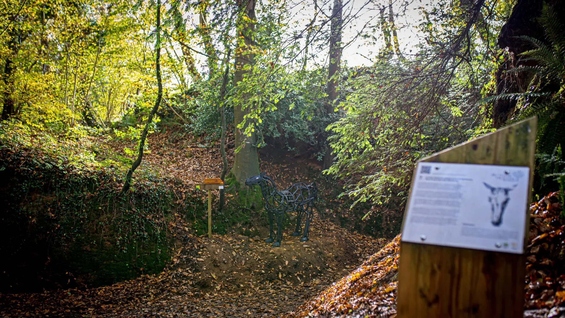 Le beau cheval du chemin creux de Melchonnec