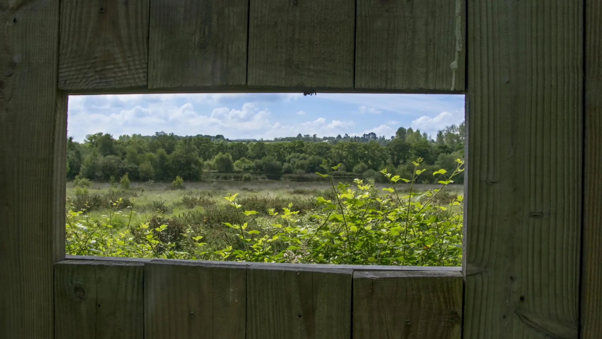 Observatoire Lann Droën