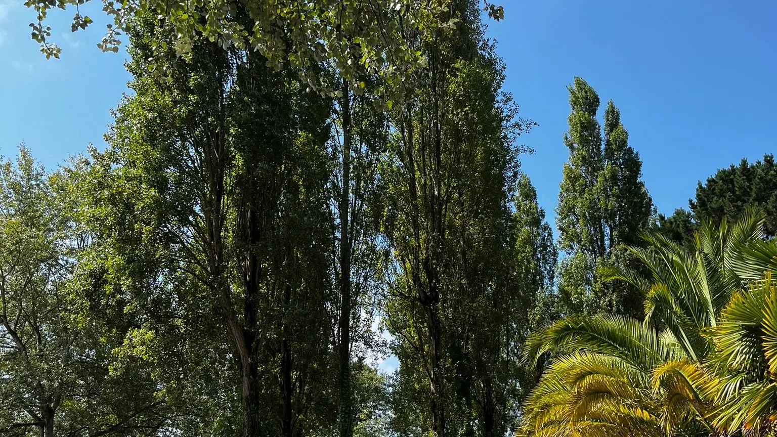 Bienvenue au camping