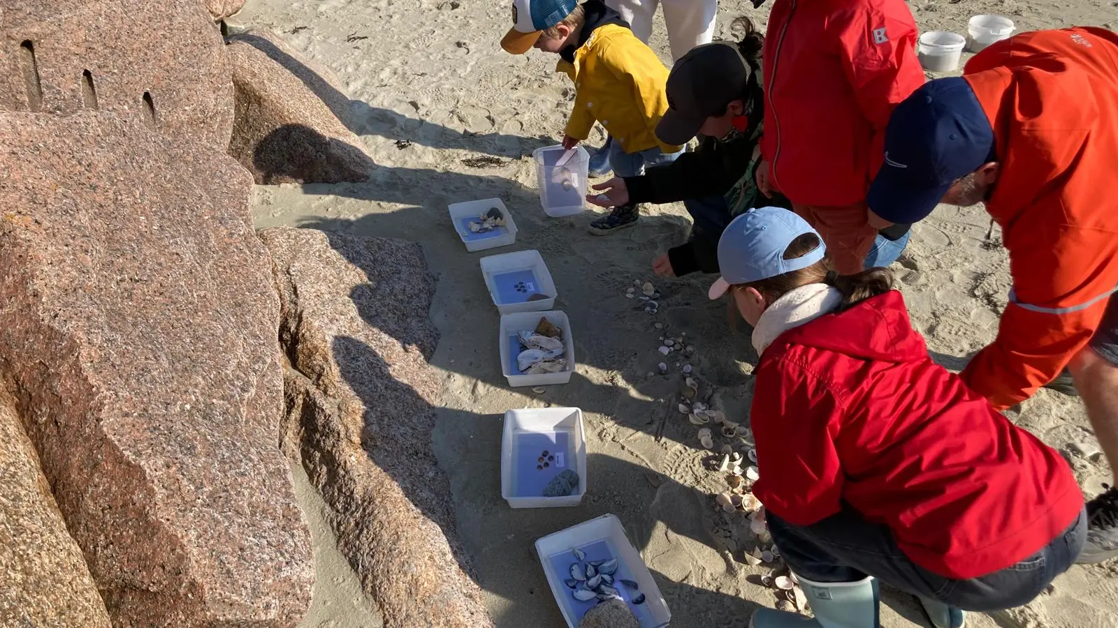 Boc'han et les habitants de la plage 2