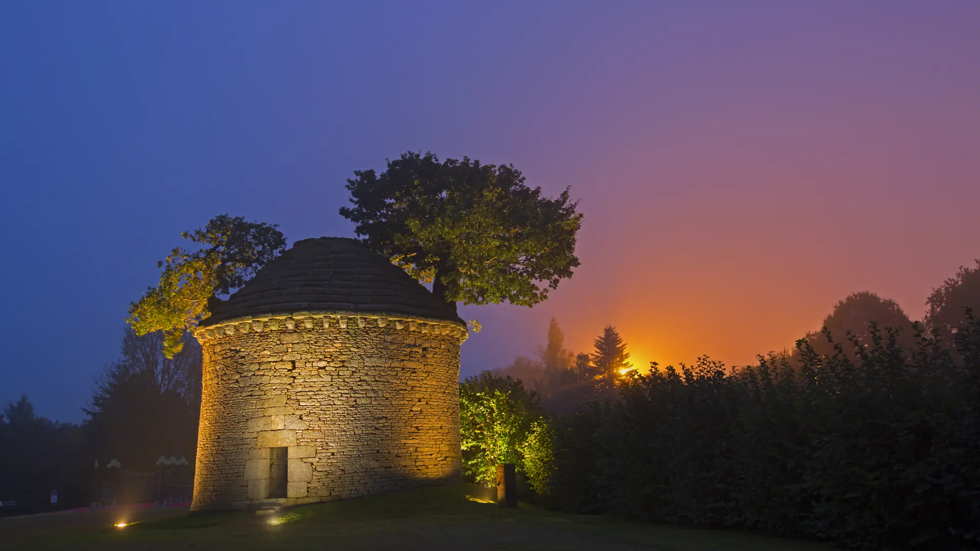 Chêne - Photo Louis Mrie Préau