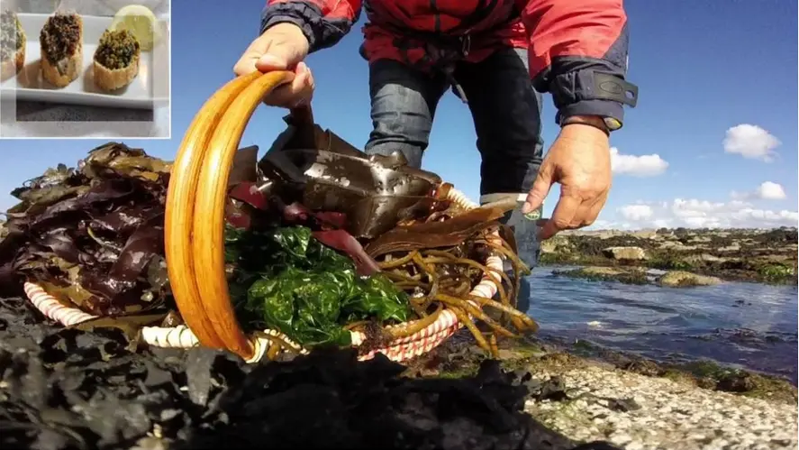 DETENTE-ORGIN-ALGUES-4