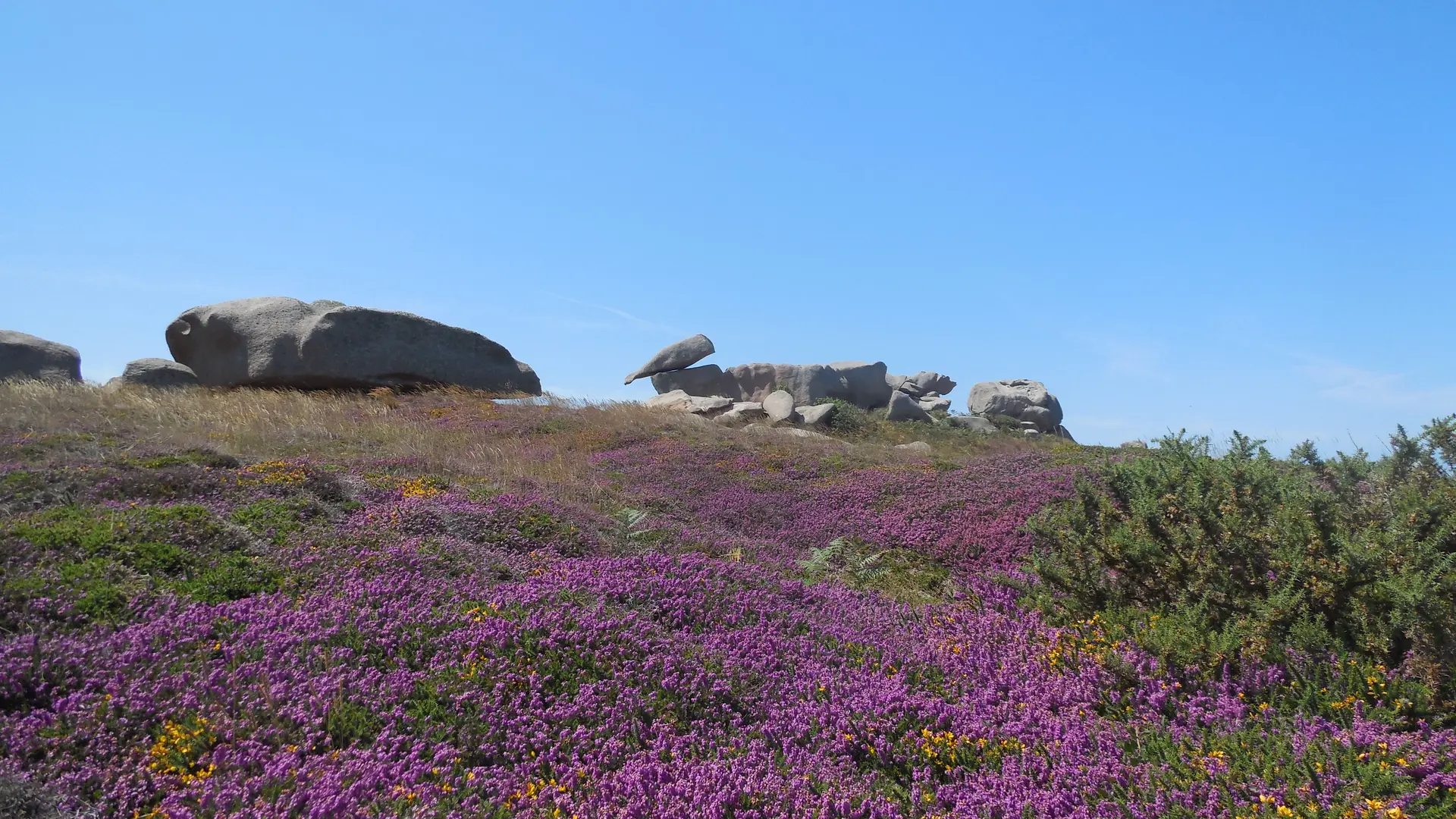 Landes Ploumanac'h