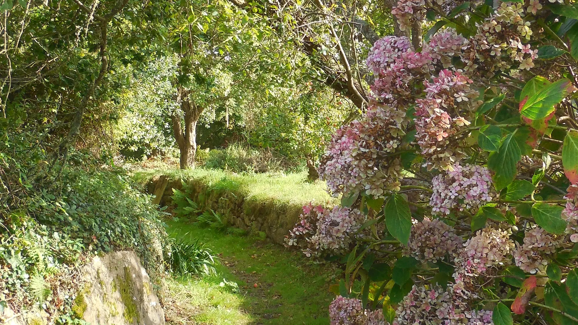 chemin Port Blanc