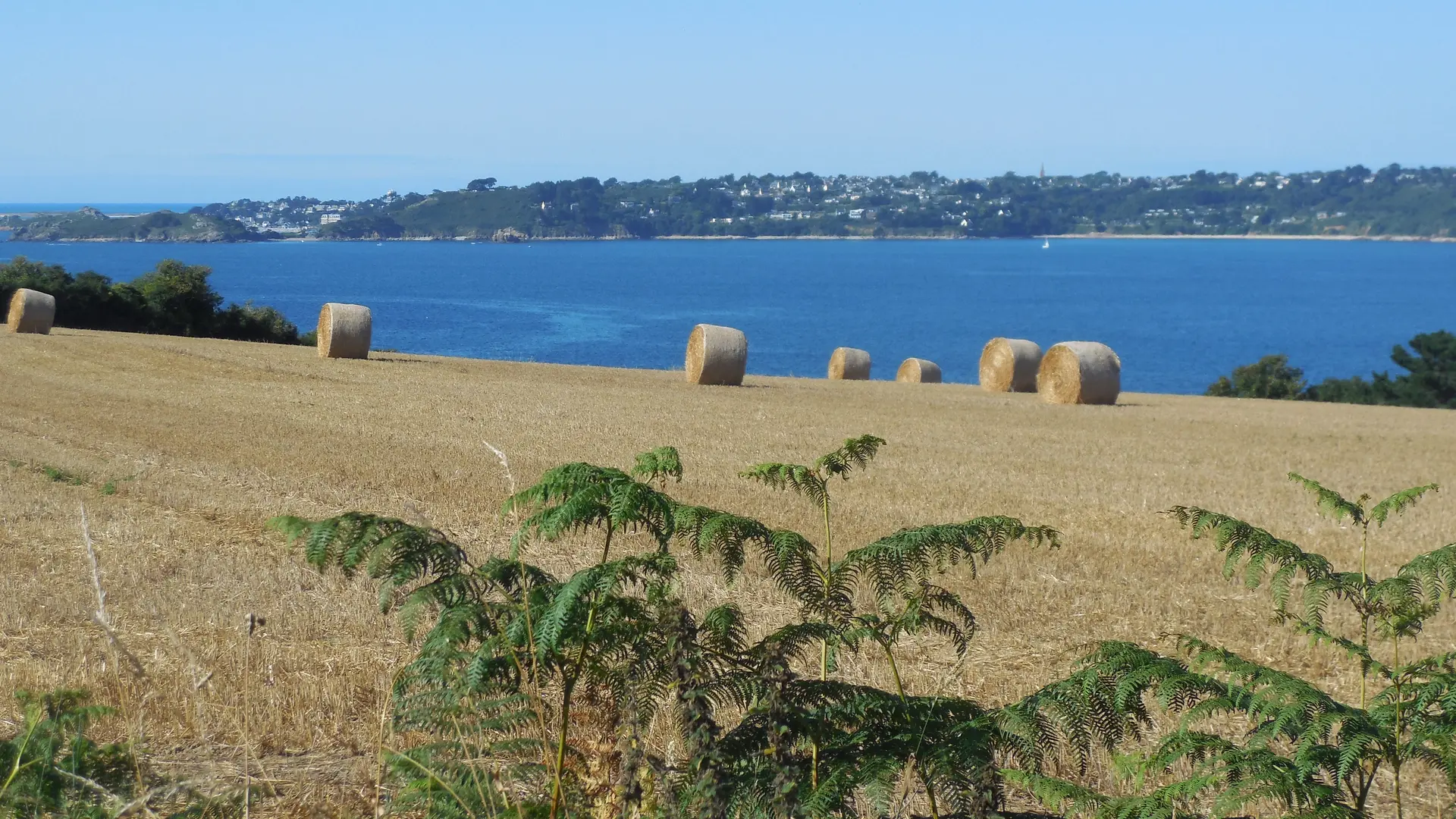 Vue baie de lannion