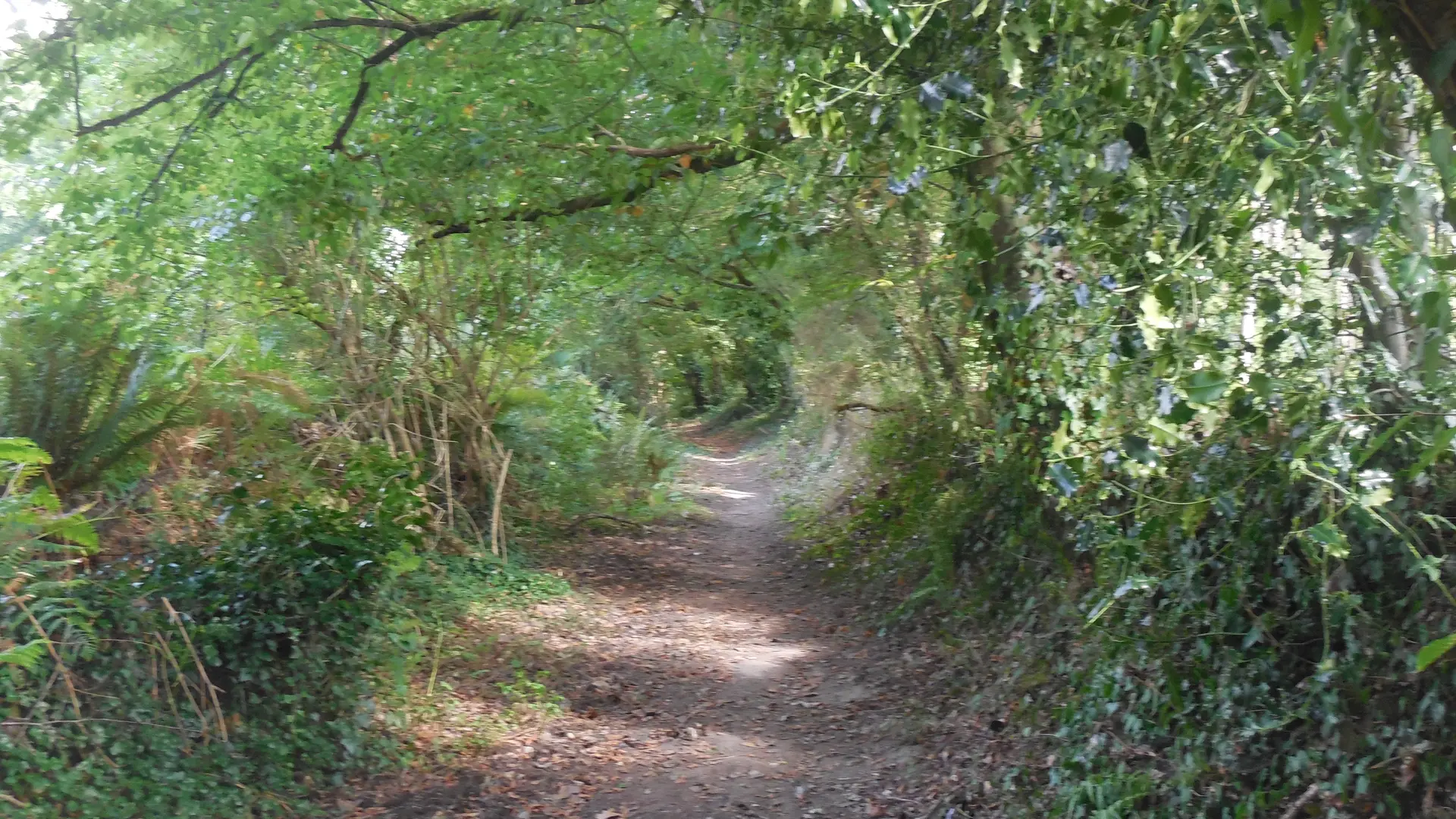 Sentier vallée