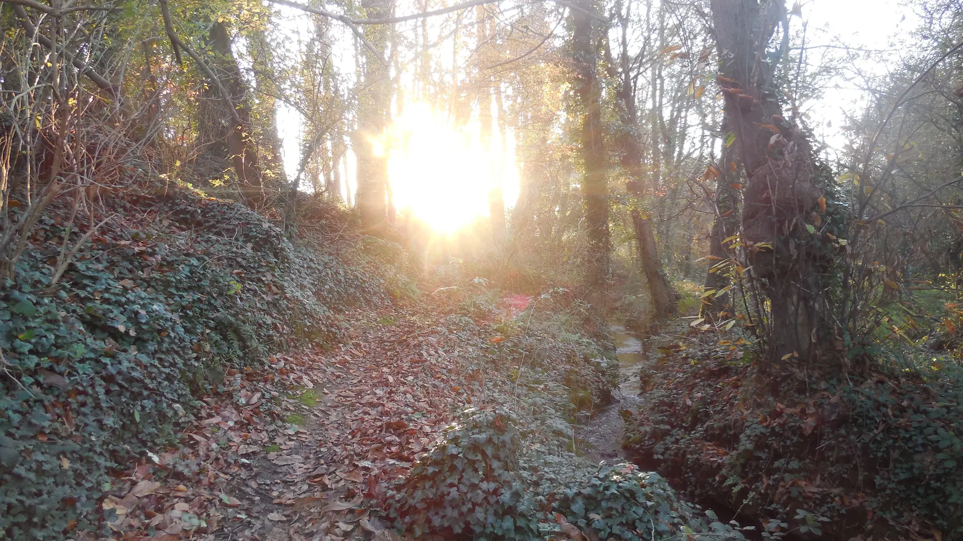 sentier Douron