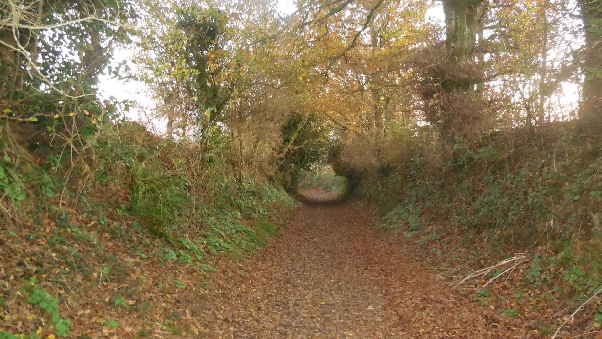 sentier descente vers le Bizien