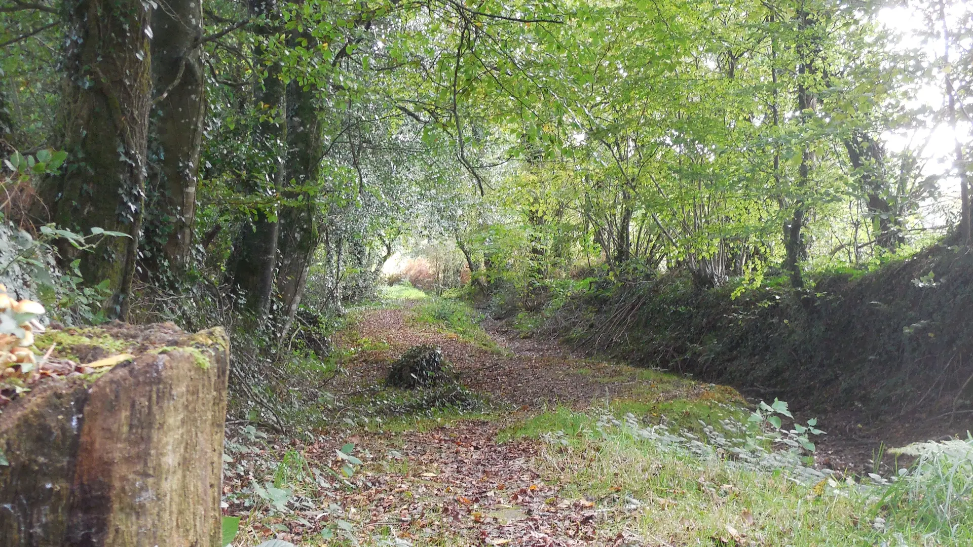 sentier Tro Lann Droën