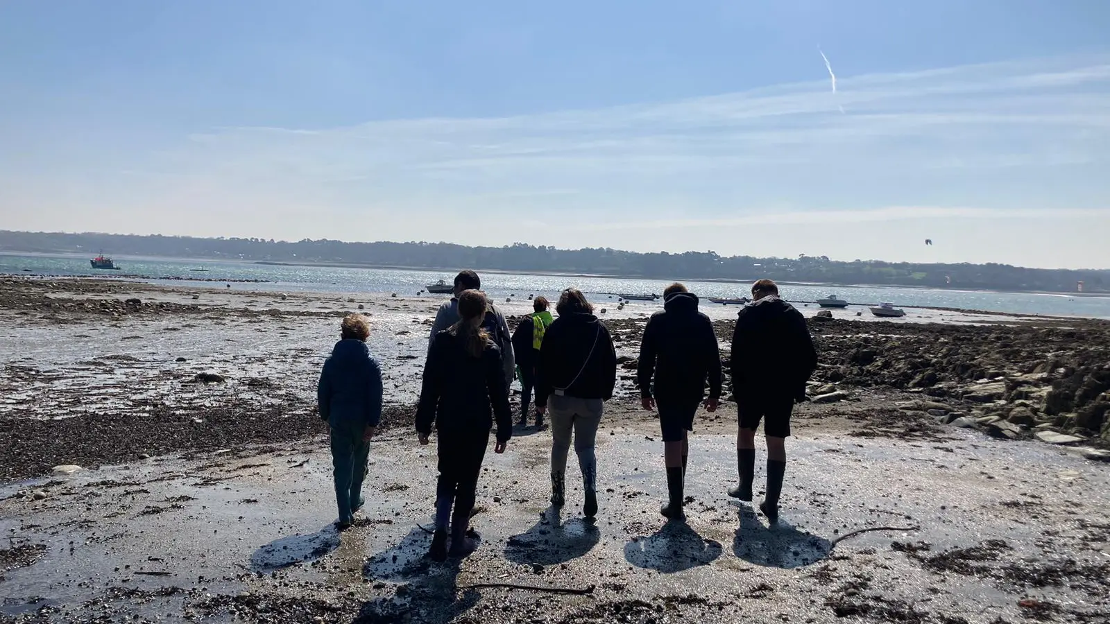 Decouverte de la biodiversité de l'estran