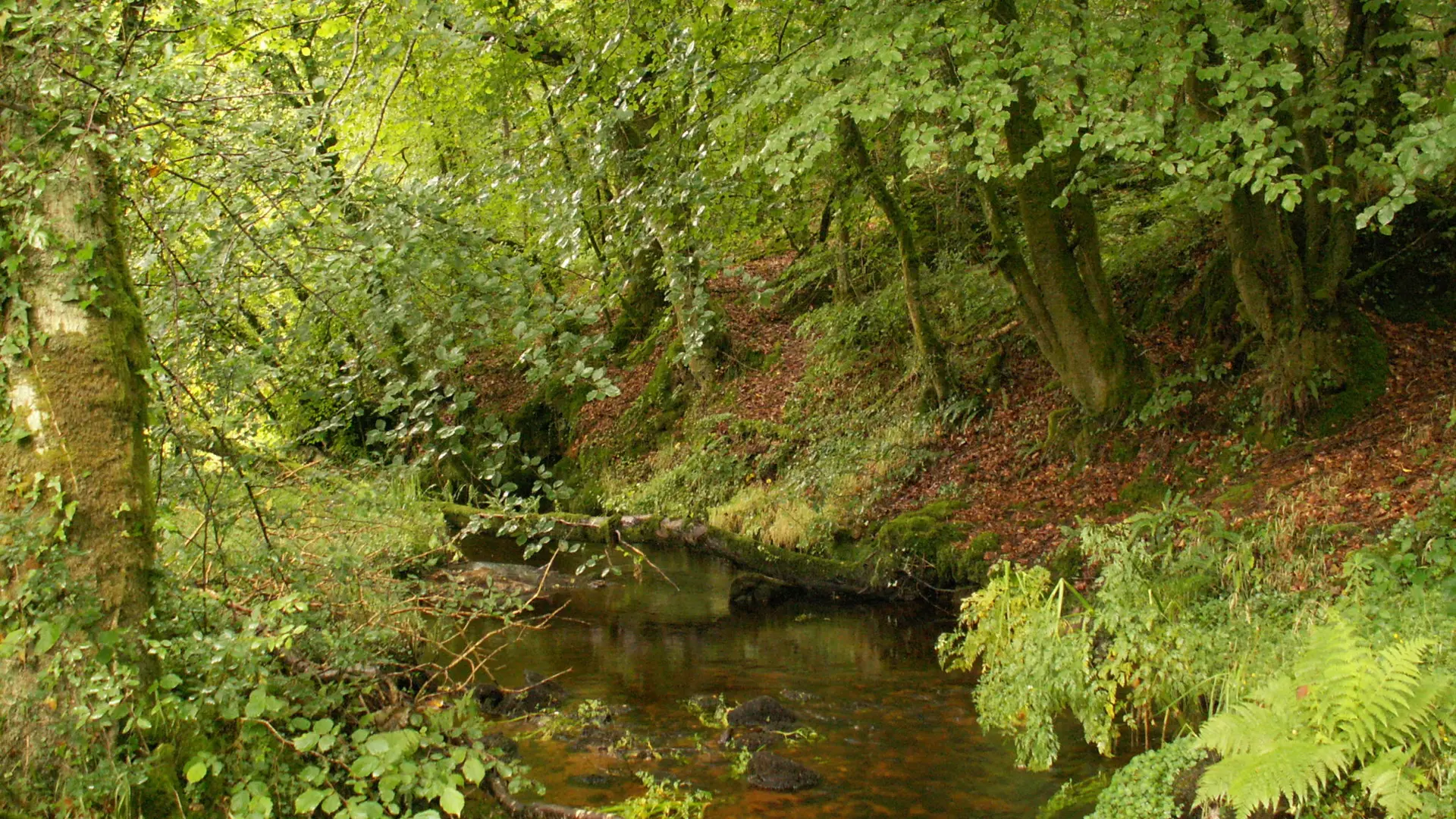 La rivière du Douron