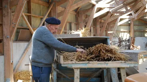 Écomusée Plouigneau bénévole