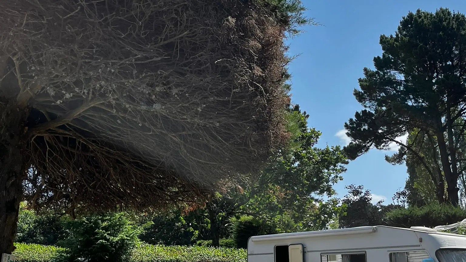 Emplacement calme camping-car, van, caravane