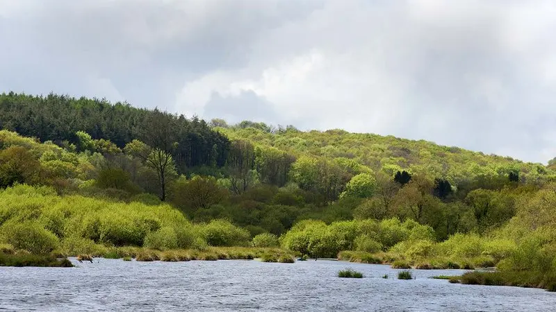 Etang du Guic Plougras