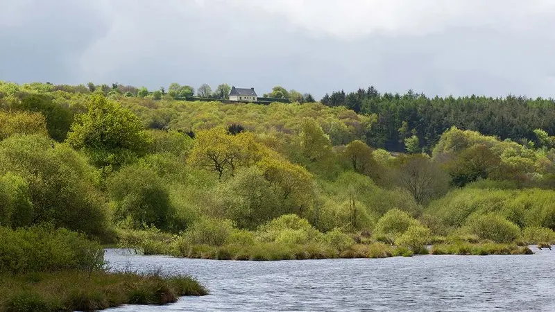 Etang du Guic Plougras