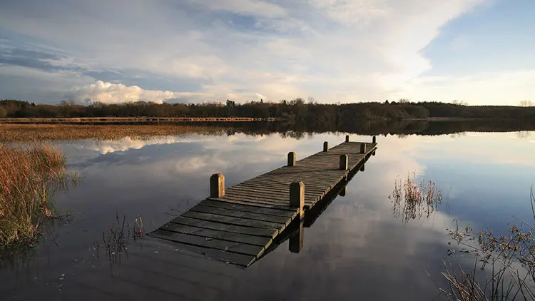 Etang du Moulin Neuf