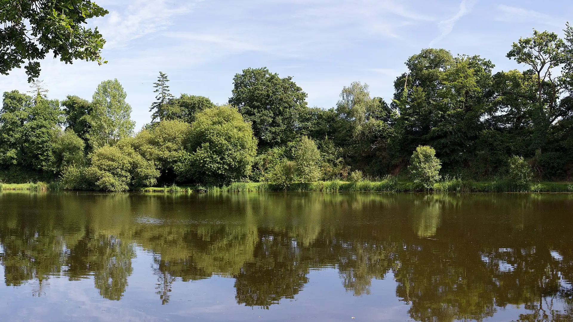 Etang du Poulloguer