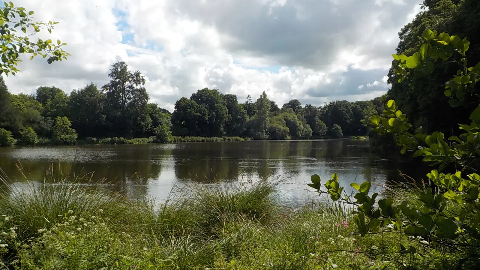 Etang du Poulloguer-Prat © G. Leroi (4)