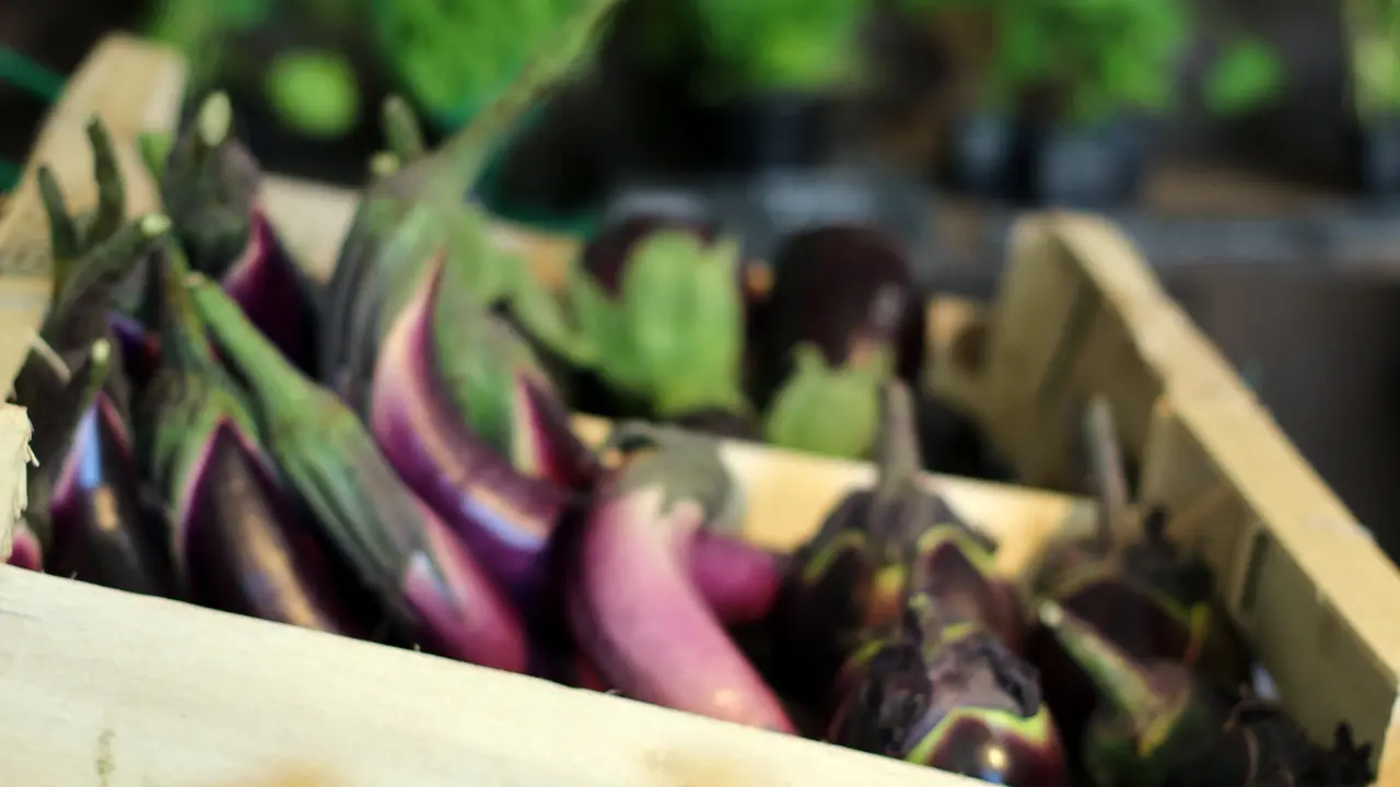 Ferme de Keranod (6)