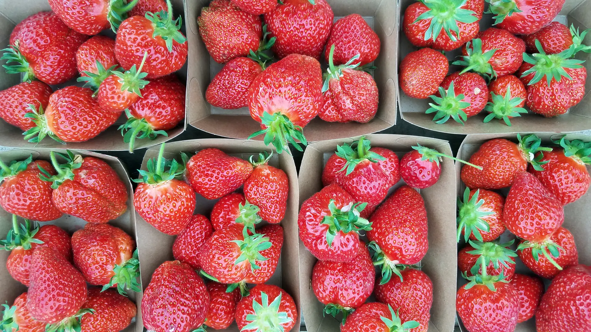 Ferme de Keranod (8)