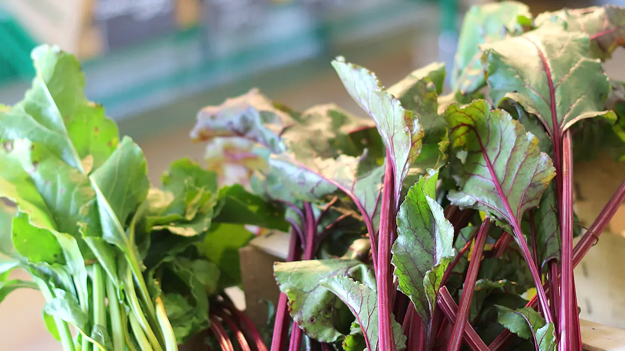 Ferme de Keranod (3)