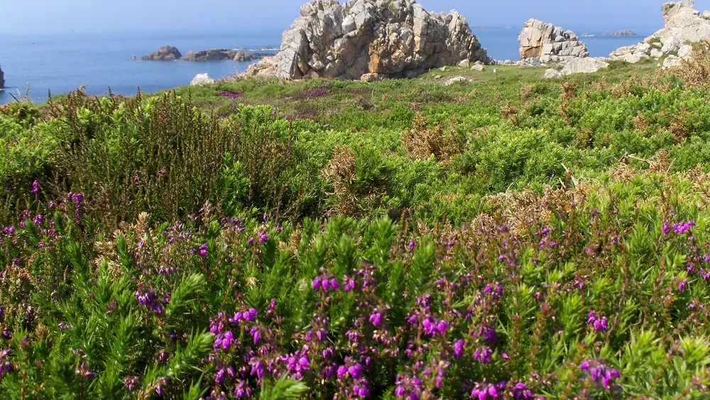 Fiche 2 la pointe du Château