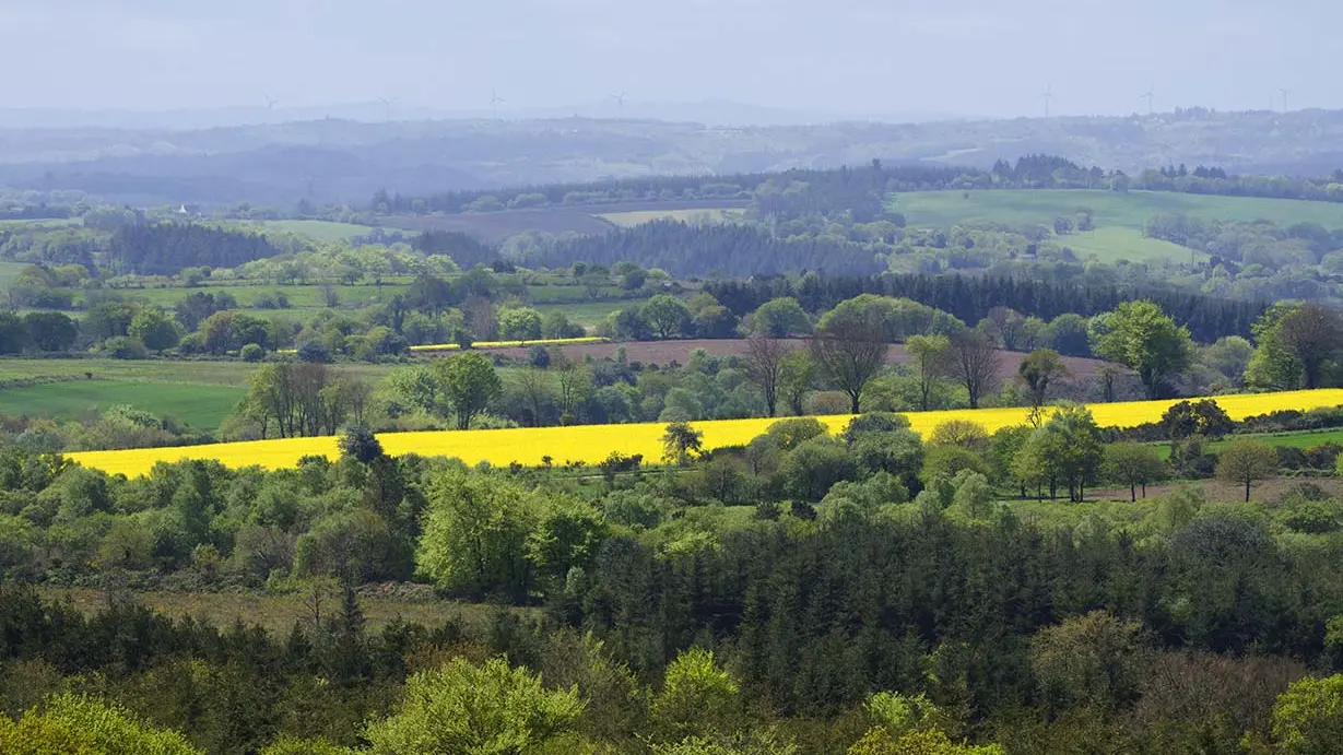 Goariva panorama Festi'Rando2015 Plougras ©Hervé Ronné (5)