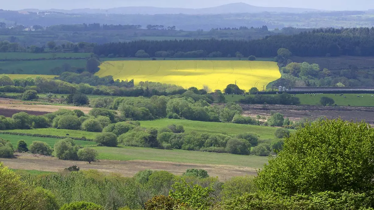 Goariva panorama Festi'Rando2015 Plougras ©Hervé Ronné (6)