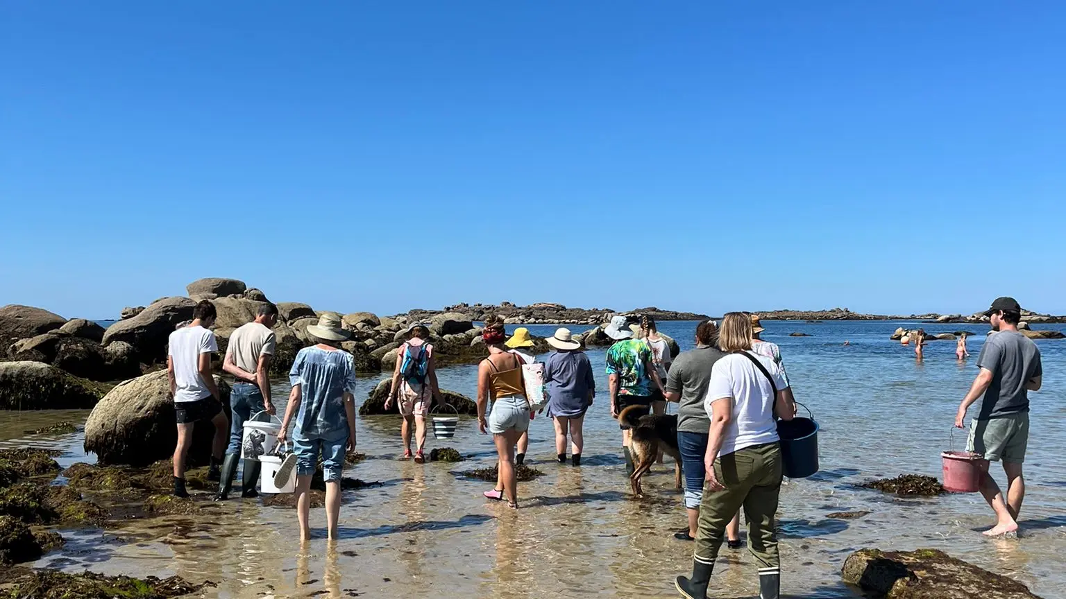 en route pour la cueillette